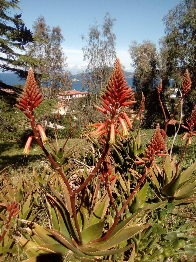 Sansone Lägenhet Portoferraio Exteriör bild