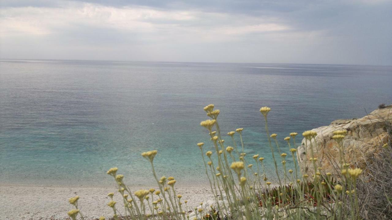 Sansone Lägenhet Portoferraio Exteriör bild