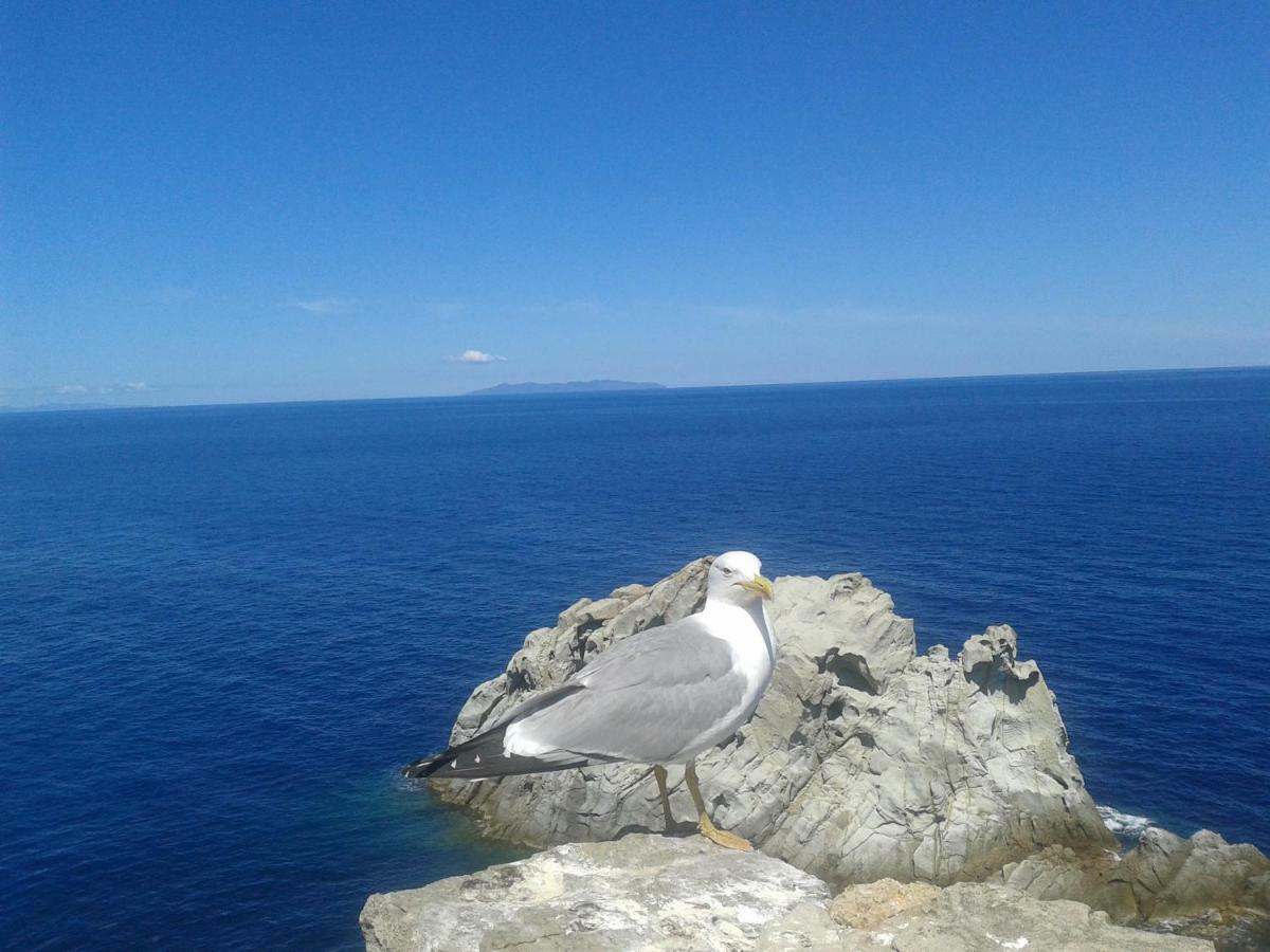 Sansone Lägenhet Portoferraio Exteriör bild
